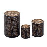Windlich 3 Set Masterbox 12x 3-Parties Stand Stand Forest Tea Halder Around Black Gold