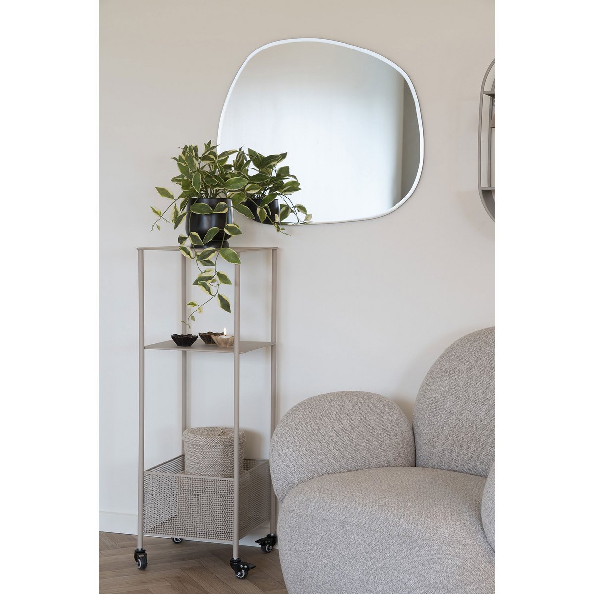 Hoya Carnosa - Présentation dans un intérieur moderne