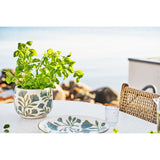 Pot de fleurs en céramique blanc sur table en bois