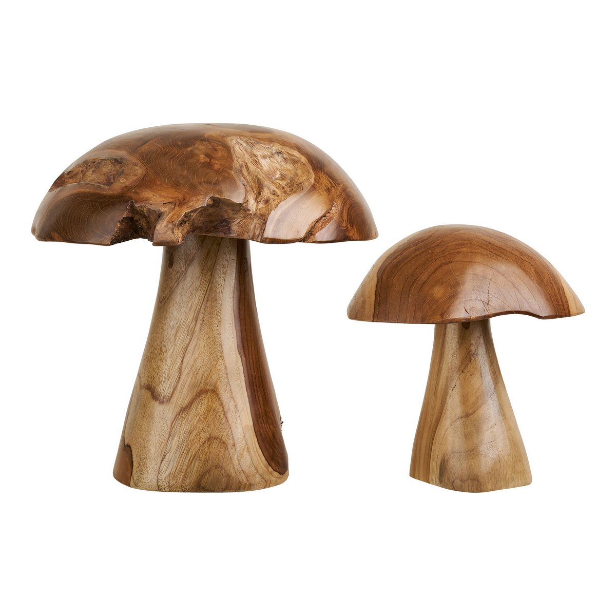 Détail du grain de bois des champignons déco Kodi