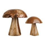 Détail du grain de bois des champignons déco Kodi