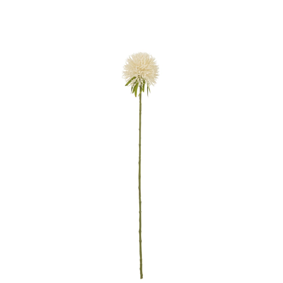 J-Line Flower Allium - Fleur artificielle blanche élégante