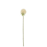 J-Line Flower Allium - Fleur artificielle blanche élégante