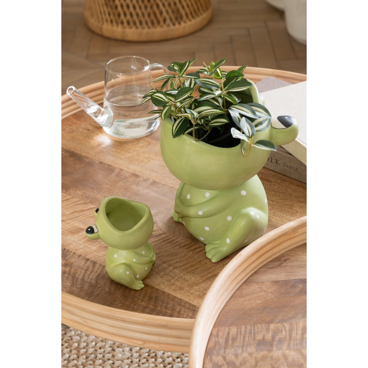 Détail du pot de fleur J-Line Frog Open Mouth, céramique verte, avec plante
