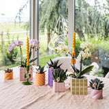 Maison Colibri | Pot décoratif de bonbons | Haut - Pêche - Ø6cm