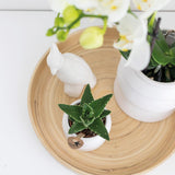 Plateau rond en bambou naturel diamètre 30 cm