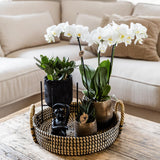 Maison Colibri | Support à plantes - Réhausse à plantes en métal noir Ø12cm