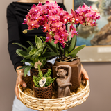 Home Kolibri | Leopard Sierpot - Ø6cm