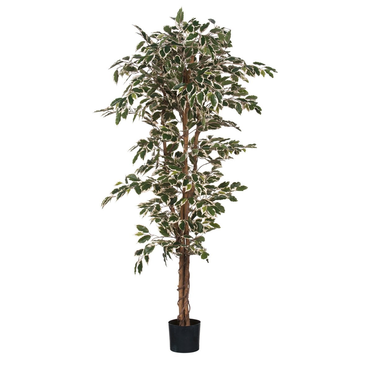 Plante artificielle Ficus Vert avec feuilles détaillées et pot noir