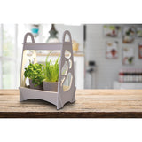 Mini jardin LED h:50cm blanc "Jardin"
