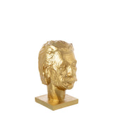 Dimensions du coffre J-Line Einstein, 18 cm de large