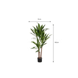Plante artificielle Dracaena Vert