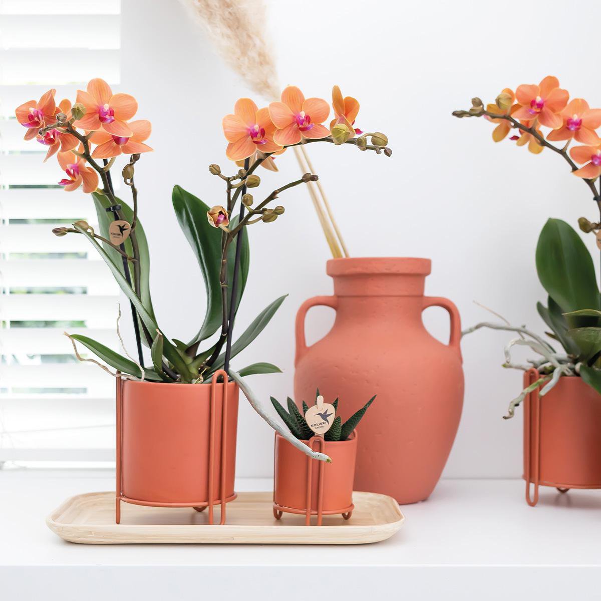 Maison Colibri | Plateau ovale en bambou