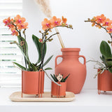 Maison Colibri | Plateau ovale en bambou