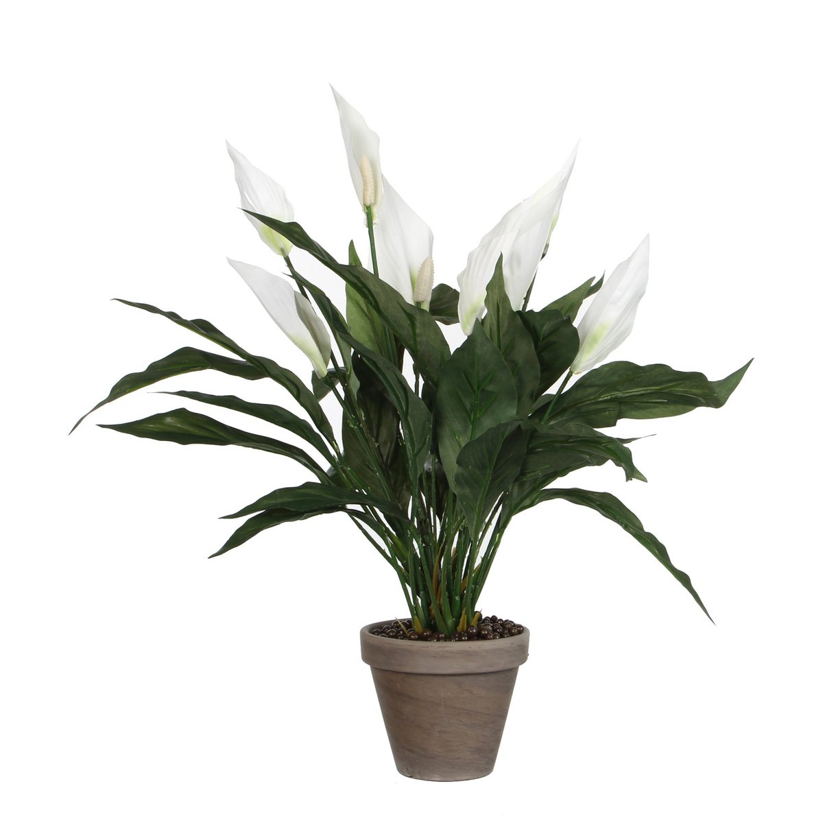 Plante artificielle Spathiphyllum blanc avec fleurs et feuilles détaillées