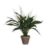 Plante artificielle Spathiphyllum blanc avec fleurs et feuilles détaillées