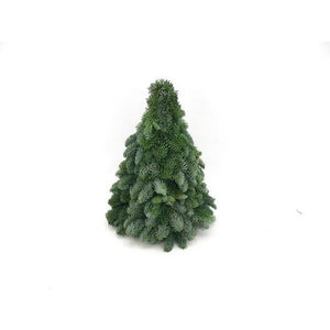 Sapin de Noël Nobilis - ↕40cm