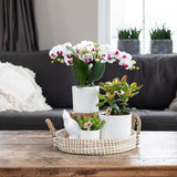 Maison Colibri | Bol décoratif - Plateau tressé blanc Ø30cm