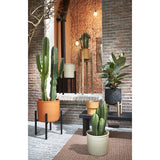Support pour plantes Ascot Noir