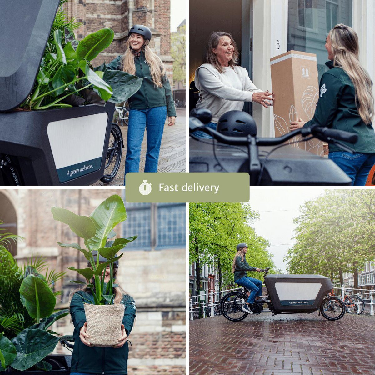 Image de diapositive