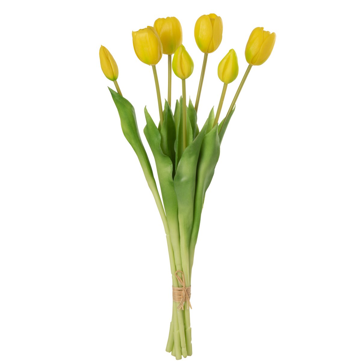 Bouquet de tulipes J-Line en intérieur, ambiance chaleureuse