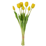 Bouquet de tulipes J-Line en intérieur, ambiance chaleureuse
