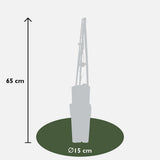 Akebia Quinata - Ø15cm - ↕65cm