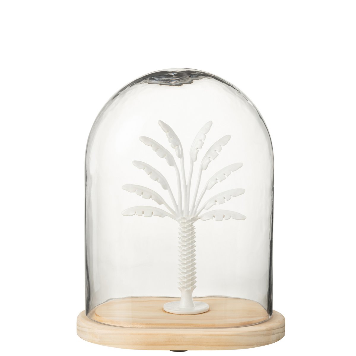 Pot Cloche Palmier en verre et métal blanc, vue de face