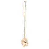 Le gland rose