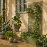 Stand de plantes à l'extérieur de Sapri Green