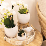 Pot de fleur décoratif en céramique blanche