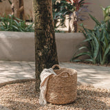 Panier à linge | Panier de plantes | Panier de Rangement BALAI en Jacinthe d'Eau (3 tailles)