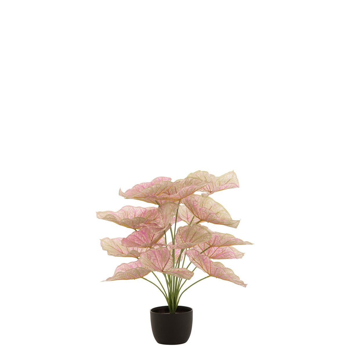 Plante artificielle Caladium J-Line, vue de face avec feuilles roses et vertes