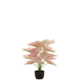 Plante artificielle Caladium J-Line, vue de face avec feuilles roses et vertes