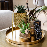 Maison Colibri | Bol décoratif - Plateau rond doré Ø30cm