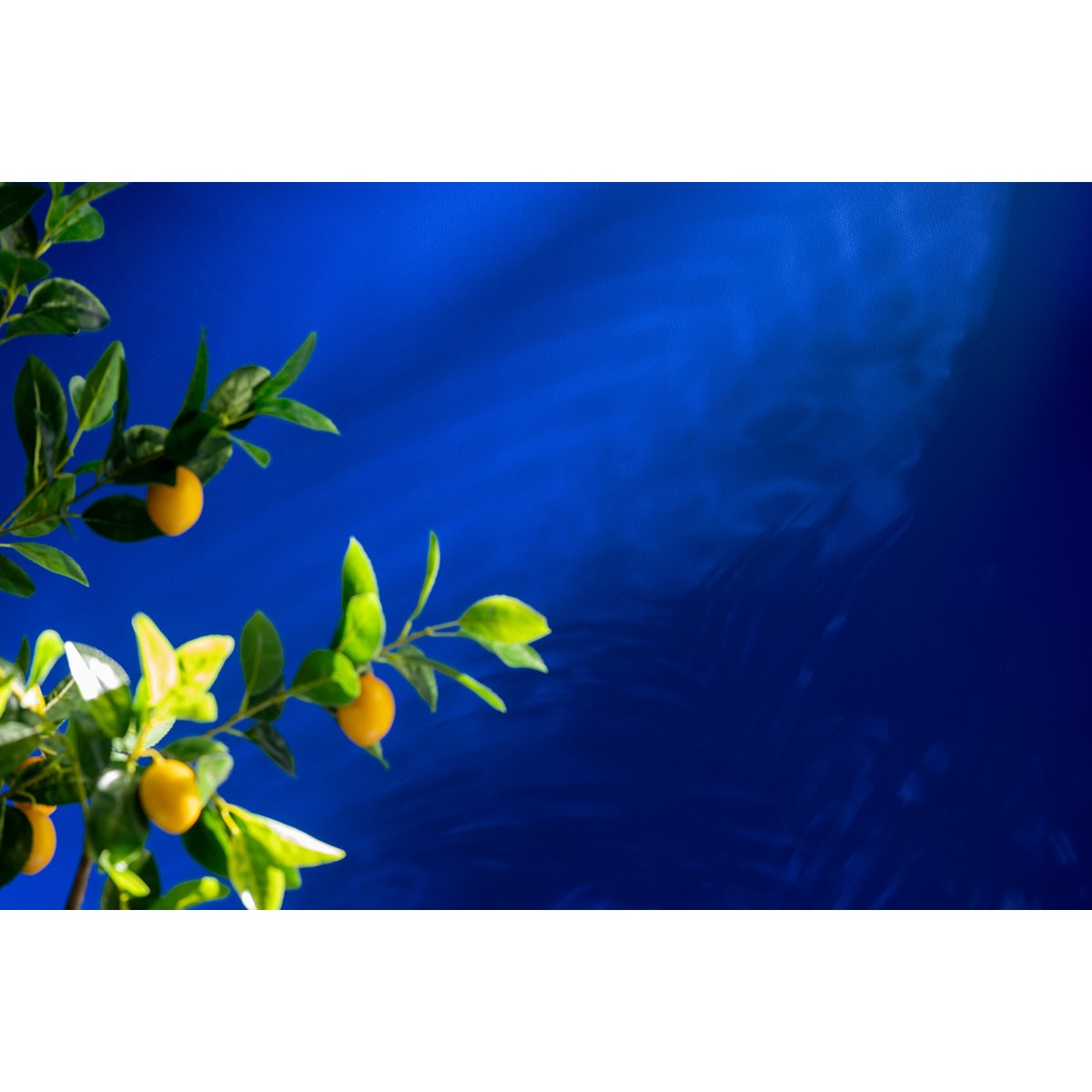 Citronnier artificiel dans un salon élégant