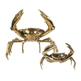 H19 Crabe L