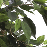 Plante Ficus artificielle dans un intérieur moderne