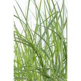 Plante artificielle Miscanthus sinensis naturel