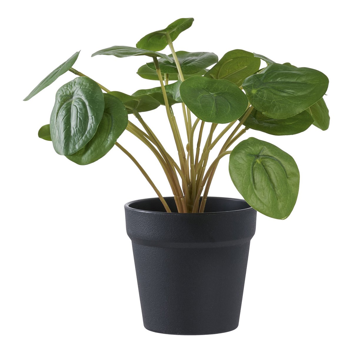 Pélia - Plante artificielle verte vue de face