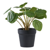 Pélia - Plante artificielle verte vue de face
