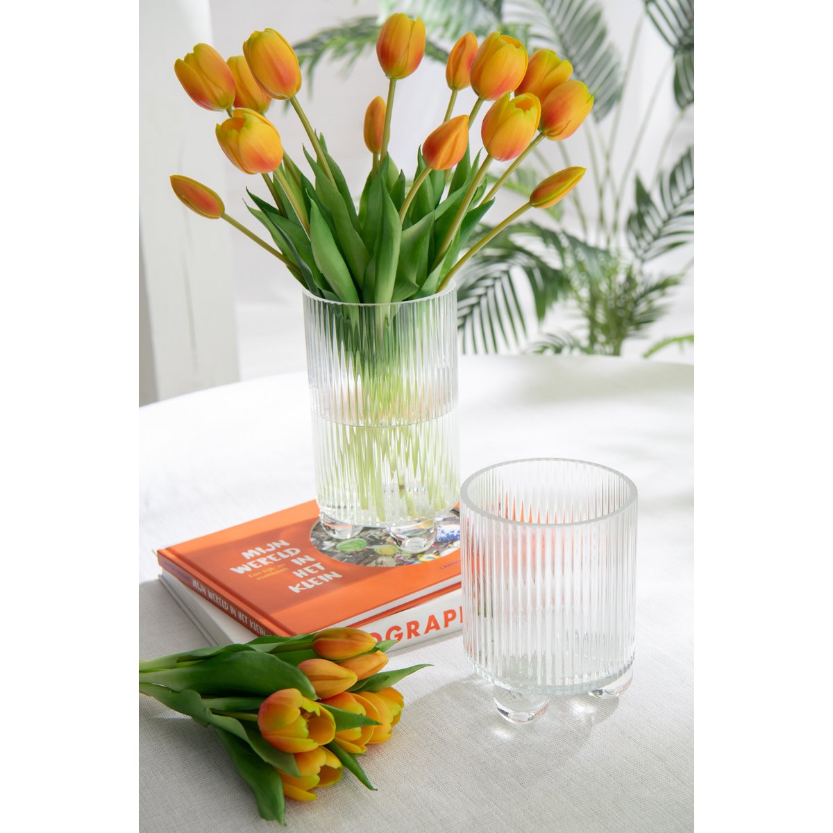 Lanterne J-Line Clara - dimensions et design