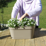Bac de balcon blanc avec 3 campanules violettes pot Ø12 cm