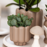 Home Kolibri | Rétro Sierpot - Sand - Ø6cm
