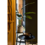 Pot de fleurs à l'intérieur d'Olof Crème