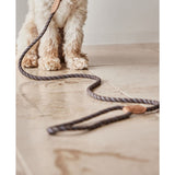 Laisse pour chien Perry - S/M