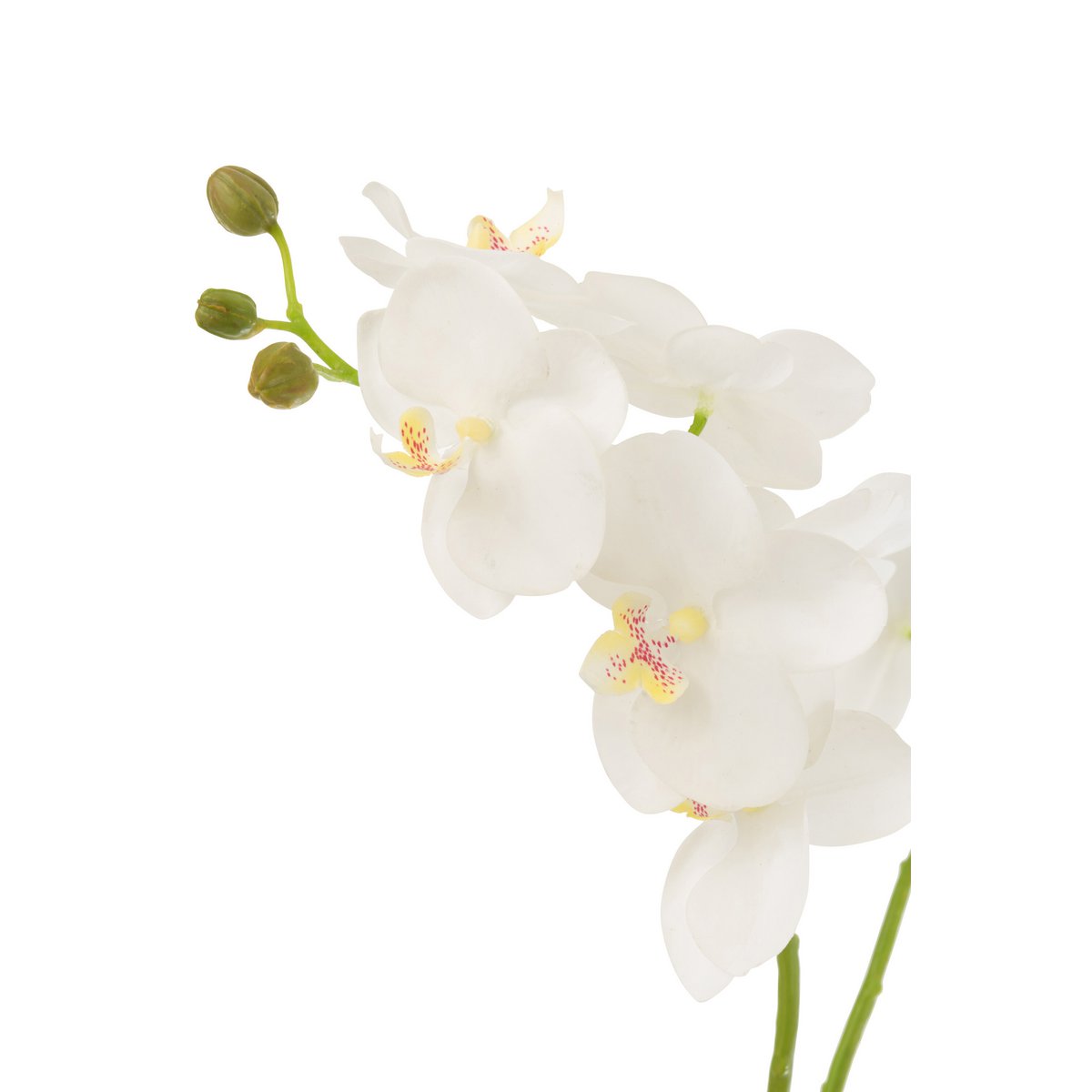 Orchidée artificielle J-Line en blanc et vert, vue de face