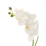Orchidée artificielle J-Line en blanc et vert, vue de face