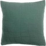 Coussin recyclé Titou Vert de gris 45 x 45