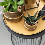 Maison Colibri | Bol décoratif - Plateau rond doré Ø30cm